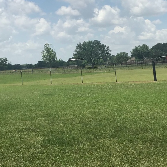 Loves of my life!!!! - Picture 1 of 8